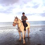 Justin McNulty - @justinmcnulty - Instagram