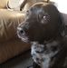 Justin Michael Millican - Facebook