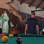 Justin Mills - @ft.justin_mills - Instagram