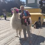 Justin Mills - @shniggly - Instagram