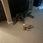 Justin Mills - @justinmills145 - Instagram