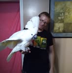 Justin Morlok - Facebook