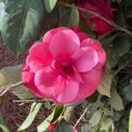 Justin Nall Jacobs - @jejacobs23 - Instagram