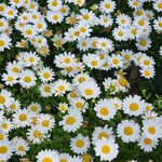 Justin  Nam - @just_in_nam - Instagram