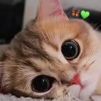 Justin Nam - Facebook