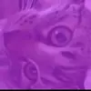 Justin Nava - @justin.nava6 - TikTok