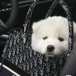 Justin NI - @justinni808 - Instagram