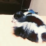 노석현 - @justin_noh98 - Instagram