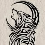 Justin Noh - @its.justin.n - Instagram
