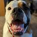 Justin Odegard - Facebook