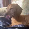 Justin_Oja - @oja.justin - TikTok