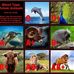 Justin Olinger - Facebook