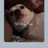justinoolivarez - @justinoolivarez - TikTok