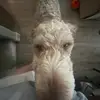 D_Y_M - @justinpadgette - TikTok