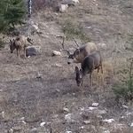 Justin Padgett - @padgett3476 - Instagram