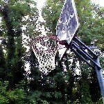 Justin Padgett - @justinp003 - Instagram