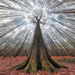 Justin Padgett - @justinpadgett1 - Instagram