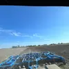 Justin🚜🌽 - @justinpauley47 - TikTok