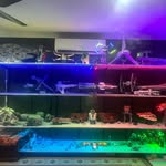 Justin Paluszkiewicz - @justin_paluszkiewicz - Instagram