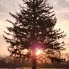 Justin Pasfield - @justin.pasfield - TikTok