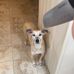 Justin Patel - Facebook
