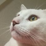 Justin Pedigo - @jpp1206 - Instagram