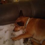 Justin Pelfrey - @pelfrey_justin - Instagram