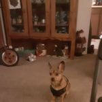 Justin Pelfrey - @pelfreyjustin - Instagram
