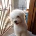 Justin Peleno - Facebook