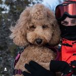 Justin Pender - @justin4pender - Instagram