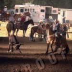 Justin Penner - @penner_48 - Instagram