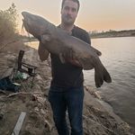 justin penner - @justinnpenner - Instagram