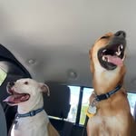 Justin Pennington - @justinpennington - Instagram
