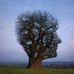 Justin Penrose - Facebook