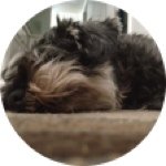 Pepper Justin - @pepper_justin - Instagram