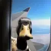 Justin Pera - @justinp2354 - TikTok
