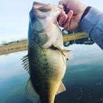 Justin Perdue - @jm_perdue22 - Instagram