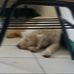 Justin Perrito - Facebook