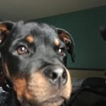 Justin Perkey - @justin.perkey - Instagram