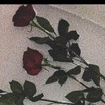 justin perl - @739justin739 - Instagram