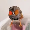 JUSTIN　PERO - @justin.pero - TikTok