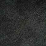 justin - @justin__perri - Instagram