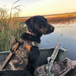 Justin Perron - @justin.perron - Instagram