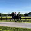 Justin Perry - @jtperry105 - TikTok