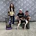 Justin Perryman - Facebook