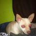 Justin Persons - Facebook