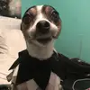 Justin Peter - @greasy78w - TikTok
