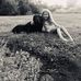 Justin Petri - Facebook
