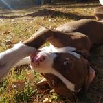 Justin Petrin - @duo60692 - Instagram
