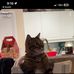 Justin Petro - Facebook